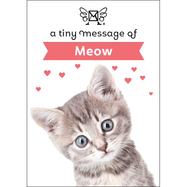 Affirmations | Tiny Treasures Box Messages