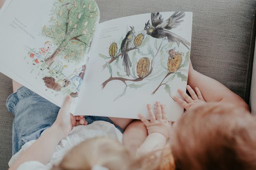 5 Little Bears | Franki and the Banksia