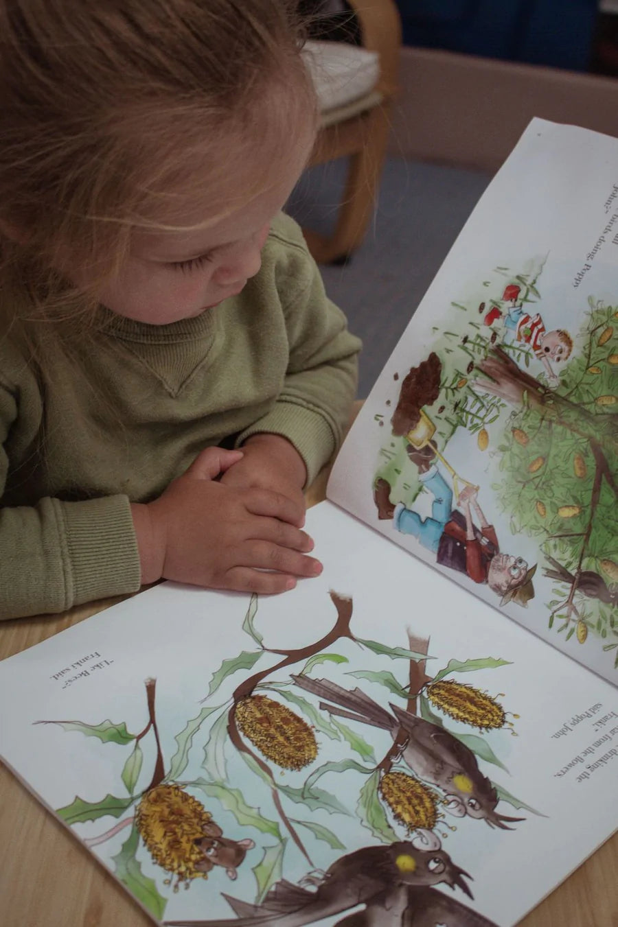 5 Little Bears | Franki and the Banksia