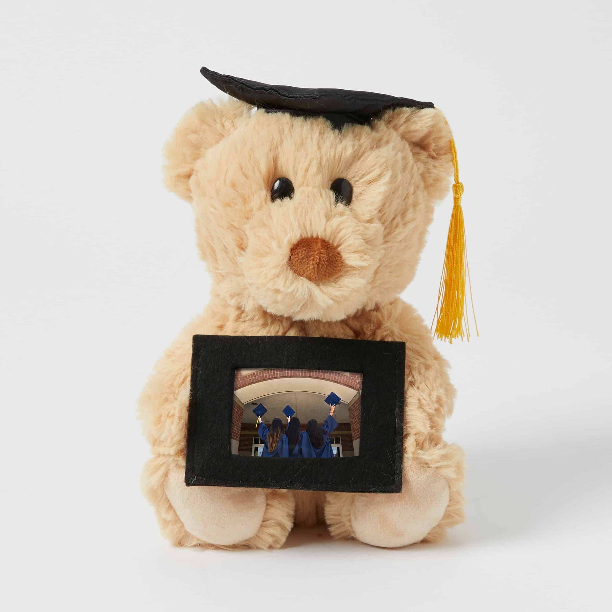 Graduation Bear - Notting Hill Bear