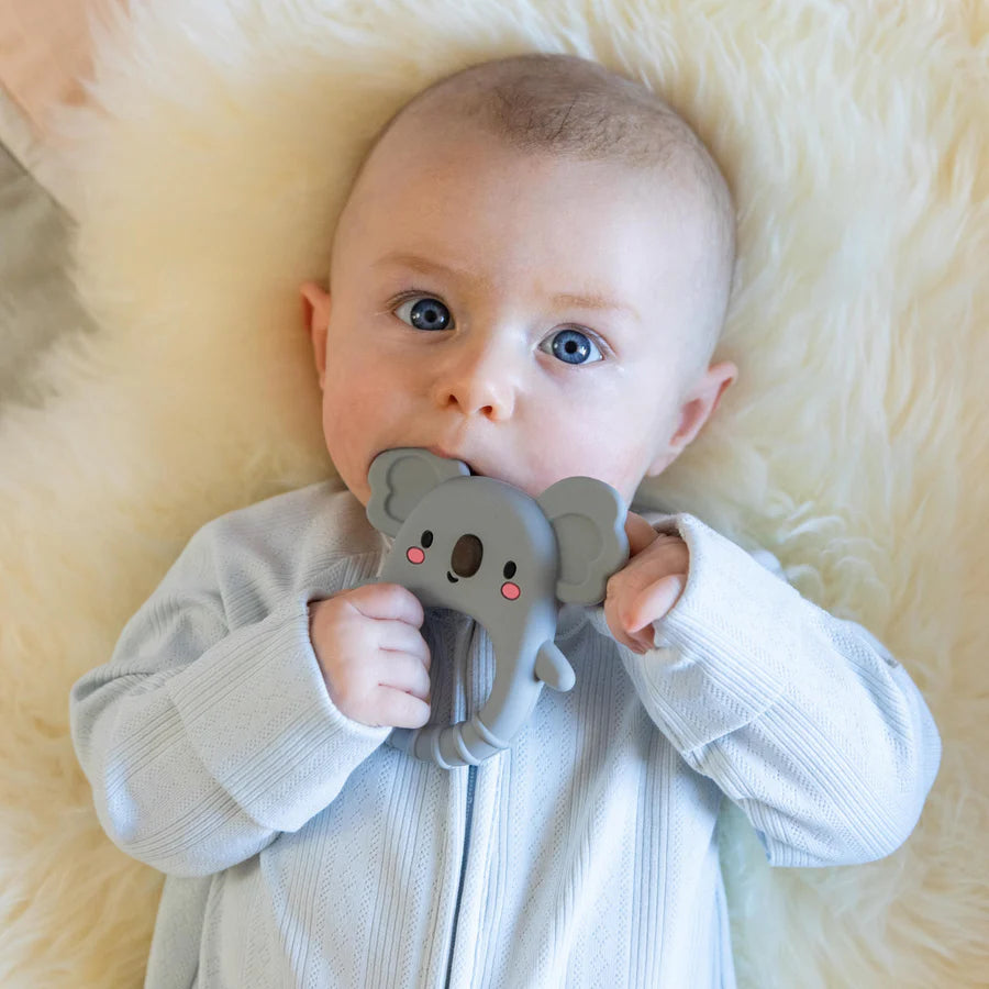 Tiger Tribe | Silicone Teether - Koala