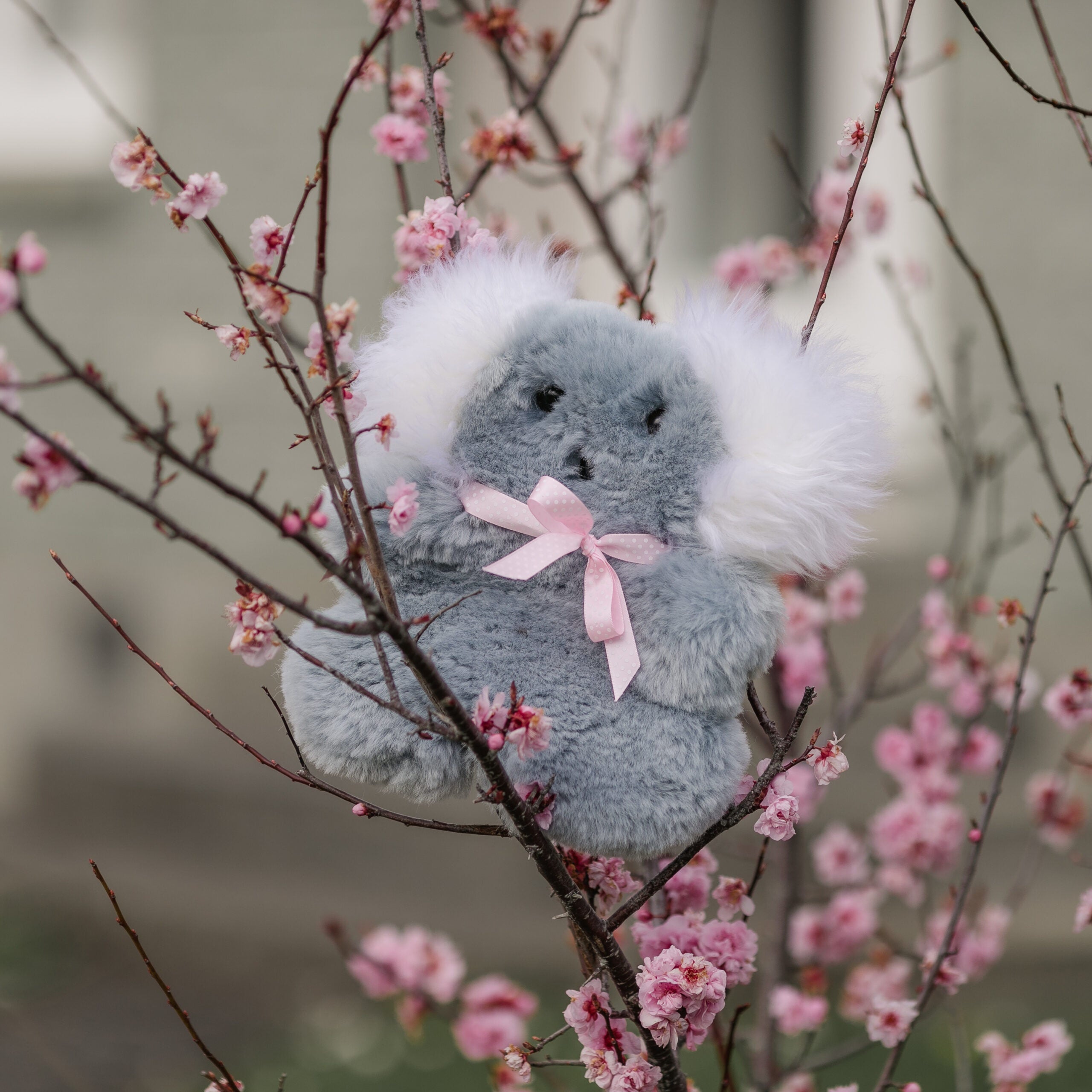 Koala Bickie Bear