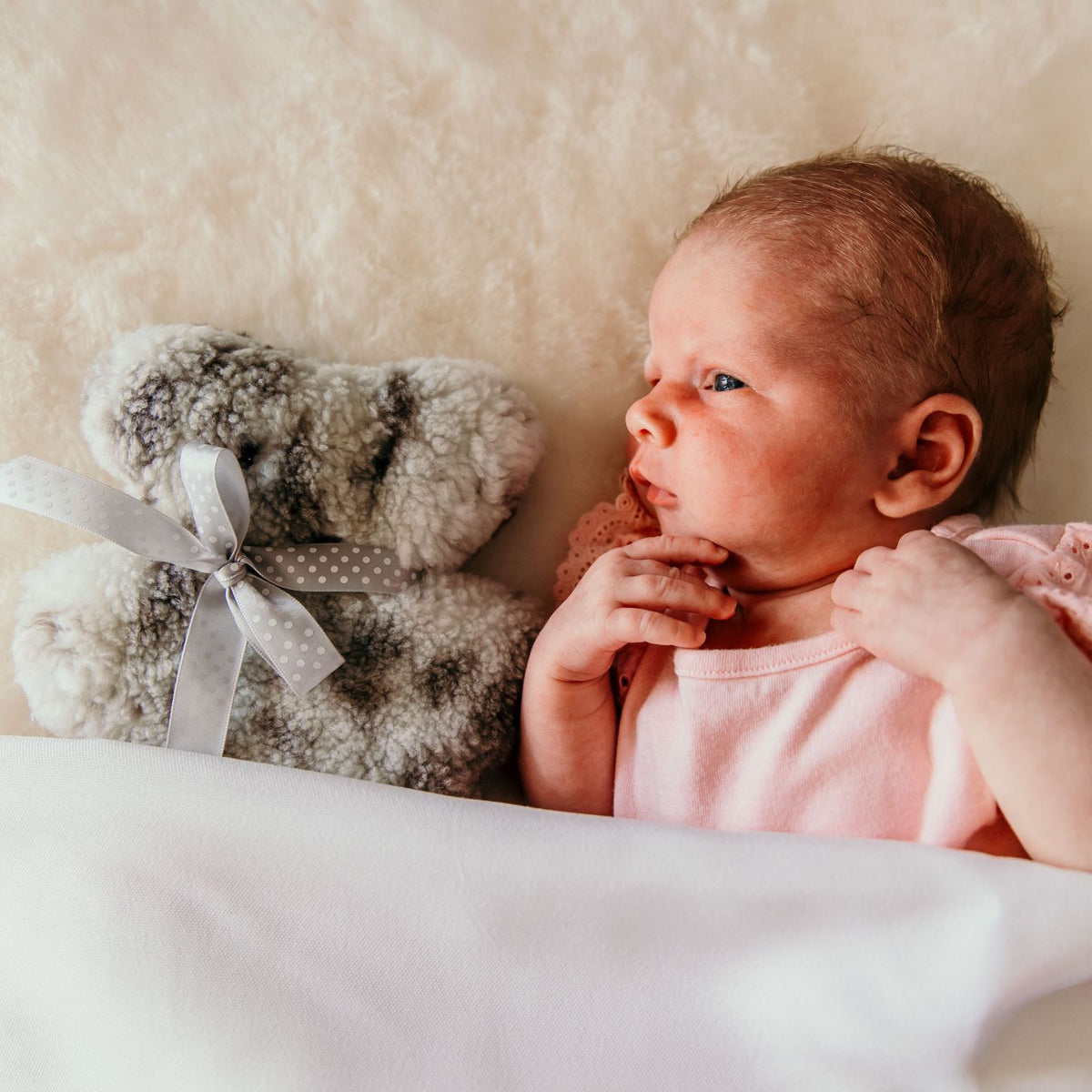 Tambo Teddy - Baby Bickie Bear