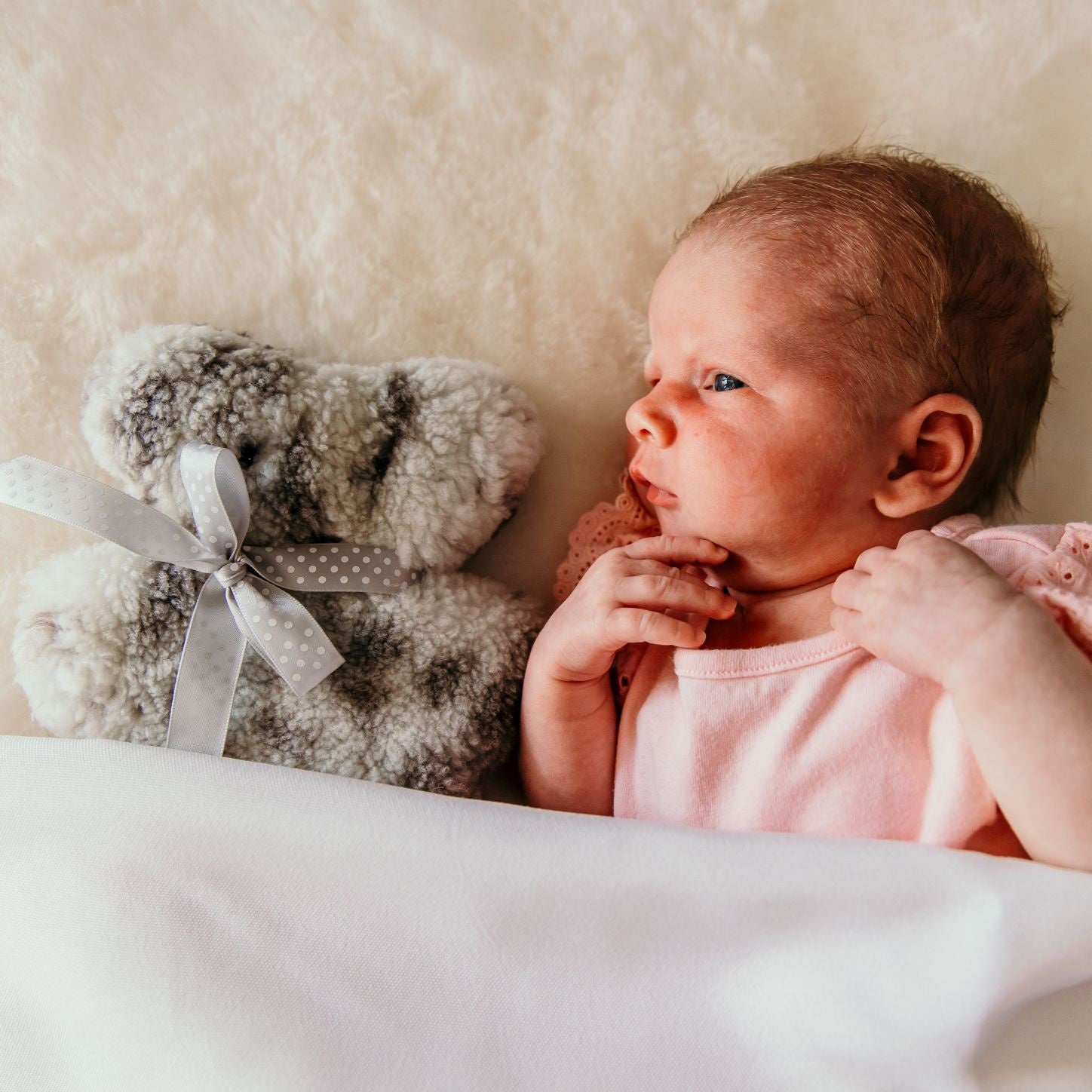 Tambo Teddy - Baby Bickie Bear