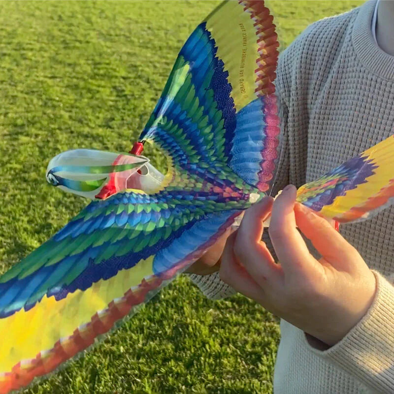 Tiger Tribe | Tim - The Original Flying Bird