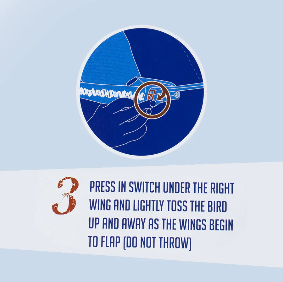 Tiger Tribe | Tim - The Original Flying Bird